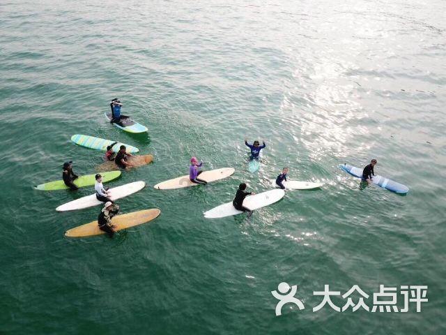 疯狂球球极限求生
